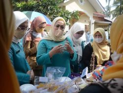 Ny Lise Eka Putra, Dasawisma Penunjang TP PKK Dalam Program Pemda