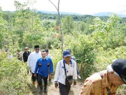 Tindaklanjut Batas Simawang – Bukik KanduangBupati Eka Putra Turun Langsung ke Puncak Rayo