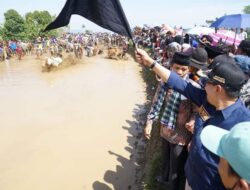 Bupati Eka Putra : Alek Pacu Jawi,Warisan Budaya yang Memberikan Multiplier Effect