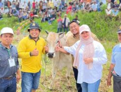 SAAT INI PACU JAWI BUKAN SEKEDAR TRADISI