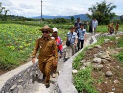 Tinjau Irigasi Bulaan Tuo-Ikua Padang, Ini Kata Bupati Eka Putra