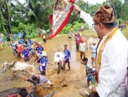 Tak Hanya Dorong Progul Satu Nagari Satu Even, Bupati Eka Putra Juga Lakukan Ini untuk Alek Pacu Jawi