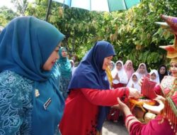 Masuk Enam Besar, Tim Provinsi Klarifikasi Posyandu Mawar Jorong Saruaso Timur
