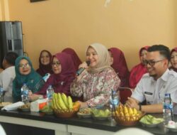 Kelanjutan lomba Gerak PKK dan Ketua Kelompok Dasawisma Berprestasi, Tim Verifikasi Kunjungi Nagari Padang Gantiang