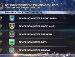 Luar Biasa! Pemerintah Kota Payakumbuh Raih BKN Award Lagi, Kali Ini Juara 1 Kategori Penerapan Pemanfaatan Data Sistem Informasi Dan CAT