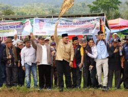 Pembukaan Alek Pacu Jawi Awal Tahun 2023  Wabup Richi Aprian : Kebersamaan Hal Utama Dalam Menyukseskan Alek Pacu Jawi