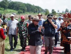 EKA PUTRA : PACU JAWI TRADISI MASYARAKAT YANG HARUS TERUS DILESTARIKAN