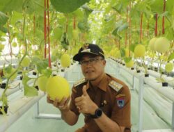 Wako Rida Ananda Apresiasi Kisai Agro Sebagai Salahsatu Destinasi Agrowisata Terbaik Di Payakumbuh