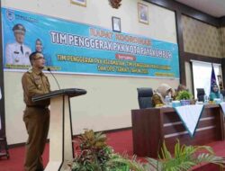 Rida Ananda Harap PKK Buat Program Yang Bersentuhan Dengan Arahan Presiden RI