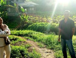 Besok Satu Ekor Sapi Indo Jolito Bersama LKKS Kota Payakumbuh Laksanakan Qurban Di Tangah Padang