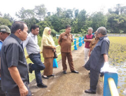 Komisi C DPRD Kota Payakumbuh, Tinjau Embung Dareh Bulakan