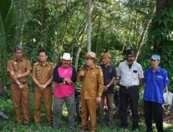 Warga Jorong Koto Gadang Gotong Royong Sambut HUT RI Ke-78, Bupati Eka Putra : Kegiatan Ini Patut Ditiru Seluruh Nagari Di Tanah Datar