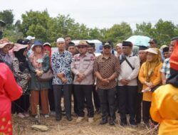 Buka Bakaua di Bukit Batu Besi Nagari III Koto, Bupati Eka Putra : Pertahankan dan Bisa Menjadi Potensi Wisata Unggulan di Tanah Datar