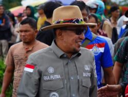 Bupati Eka Putra Tutup Resmi Alek Pacu Jawi di Nagari Pariangan