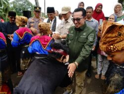 Bupati Eka Putra Buka Festival Silek Baluluak Balanyah, Bupati Apresiasi Panitia