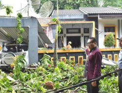 Pj Wako Payakumbuh Jasman Tinjau Rumah Warga Korban Pohon Tumbang
