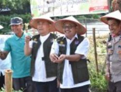 Pemko Payakumbuh Galakkan Penanaman Cabai untuk Kendalikan Inflasi