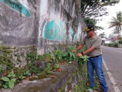Gotong Royong Bersihkan Kawasan Galanggang Kubu Gadang oleh Pemko Payakumbuh