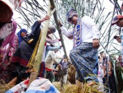 Semarak Bapulang Padi Mairiak Jo Manongkang SNSE Nagari Tanjuang