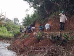 WUJUDKAN PRB, BPBD KABUPATEN LIMA PULUH KOTA EKSEKUSI POHON BERPOTENSI TUMBANG DI NAGARI TARAM