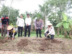 Dukung Asta Cita Presiden, Pemko Siapkan Lahan 20 Hektar Untuk Ketahanan Pangan