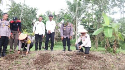 Dukung Asta Cita Presiden, Pemko Siapkan Lahan 20 Hektar Untuk Ketahanan Pangan