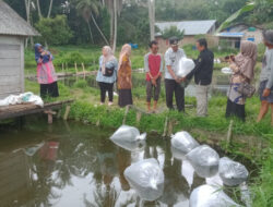 Dinas Perikanan Kabupaten Liampuluh Kota, Serahkan 20.000 Bantuan Hibah Bibit Ikan Nila