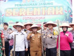 Tanam Jagung Serentak Satu Juta Hektare, Pemda  Bersama Polres Tanah Datar Dukung Program Swasembada Pangan