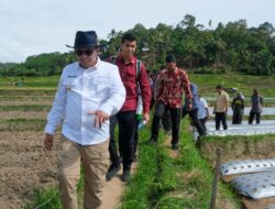 Serap Iinformasi dan Aspirasi Langsung Dari Masyarakat, Bupati Eka Putra Merasa Sangat Surprise Saat Kunjugi Nagari Gunung Rajo