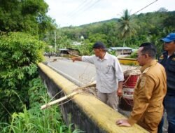 Bupati Eka Putra Tinjau Jembatan Titian Putiah Yang Rusak Akibat Banjir